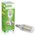 E14 8.0W 420LM Corn Light Lamp Bulb, 102 LED SMD 2835, White Light, AC 220V, with Transparent Cover