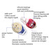 Old People Voice Amplifier Sound Collector Hearing Aid(Red Blue Double Machine + Black Charging Bin)