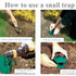 4 PCS Snail Trap Garden Vegetable Garden Snail Trap Physically Kill Snail Cage,Style: Round Barrel Type