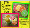 In the Hoop Coaster Citrus Embroidery Machine Design