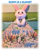In The Hoop Bunny In A Blaket Machine Embroidery/Sewing Machine design