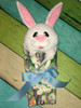 In The Hoop Bunny In A Blaket Machine Embroidery/Sewing Machine design