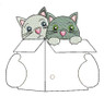 In The Hoop Kittens In A Box Snap On Embroidery Machine Design for Gnome Sign