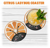 Fruit Ladybug Coaster Set