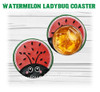 Fruit Ladybug Coaster Set