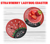 Fruit Ladybug Coaster Set