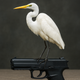 Air Pistol