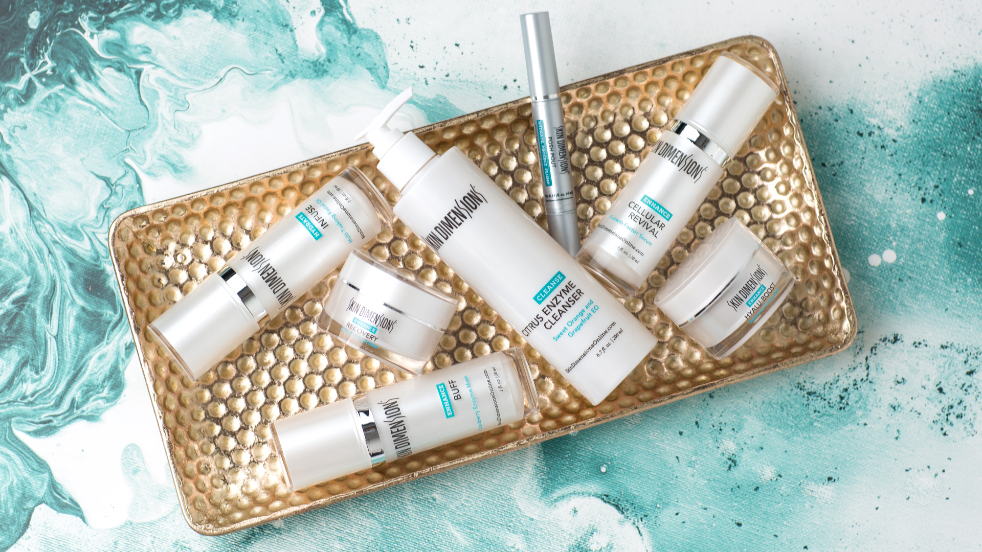 In With The New – Meet Our Newest Arrivals!