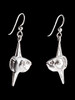 Mola Mola Sunfish Earrings - Sterling Silver