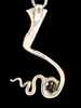 Cobra Pendant with Citrine - Silver