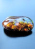 Tortoise Shell-Fire Agate, 5 ct