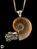 Fossilized Ammonite Nautilus Necklace - D