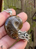 Fossilized Ammonite Nautilus Necklace