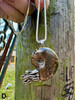 Fossilized Ammonite Nautilus Necklace