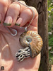 Fossilized Ammonite Nautilus Necklace