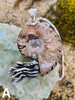 Fossilized Ammonite Nautilus Necklace