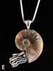 E - Fossilized Ammonite Nautilus Necklace with 6mm Rainbow Moonstone