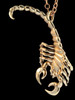 Scorpion Pendant - Bronze