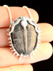 Trilobite Pendant in Sterling Silver