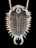 Colossal Spiked Trilobite Pendant in Silver