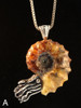 Option A - Spiky Fossilized Ammonite Nautilus Necklace with 6mm Amethyst