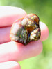 Tanglewood Root - Arizona Fire Agate