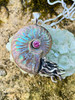 Rainbow Fossilized Ammonite Nautilus Necklace with Pink Tourmaline - Sterling Silver 