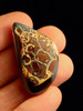 Apocalypse - Australian Koroit Opal - 50.5 ct