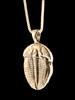 Trilobite Pendant Live Casting - Silver
