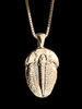 Trilobite Pendant Live Casting - Silver