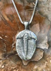Trilobite Pendant Live Casting - Silver