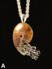 Option A - Fossilized Ammonite Nautilus Necklace - with Gemstone - Silver