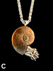 Option C - Fossilized Ammonite Nautilus Necklace - with Gemstone - Silver