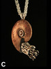 Option C - Fossilized Ammonite Nautilus Necklace - with Gemstone - Silver