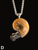 Option D - Fossilized Ammonite Nautilus Necklace - with Gemstone - Silver