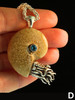 Option D - Fossilized Ammonite Nautilus Necklace - with Gemstone - Silver