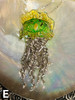 Portuguese Man of War Jellyfish - Option E