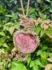 18K gold 'Pura Vida' Dragon Pendant - Mexican Matrix Opal