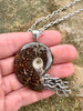 Fossilized Ammonite Nautilus Necklace - Silver