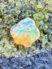 Fyre and Ice - Mexican Fire Opal - 9.1 Ct