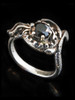 Curled Dragon Ring with Black Onyx - Silver Curled Dragon Ring with Black Onyx - Silver
