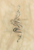 Spiro Ear Cuff in Silver