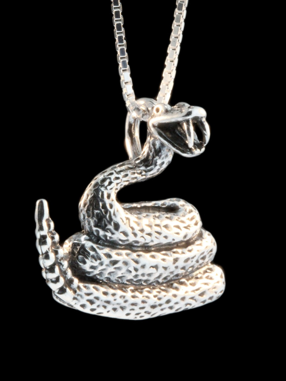 COPPERTIST.WU Rattlesnake Tail Pendant Snake Rattle Necklace Gothic Jewelry  Gifts for Men Women with Gift Box丨18K Gold Vermeil (chain not included) :  Amazon.ca: Clothing, Shoes & Accessories