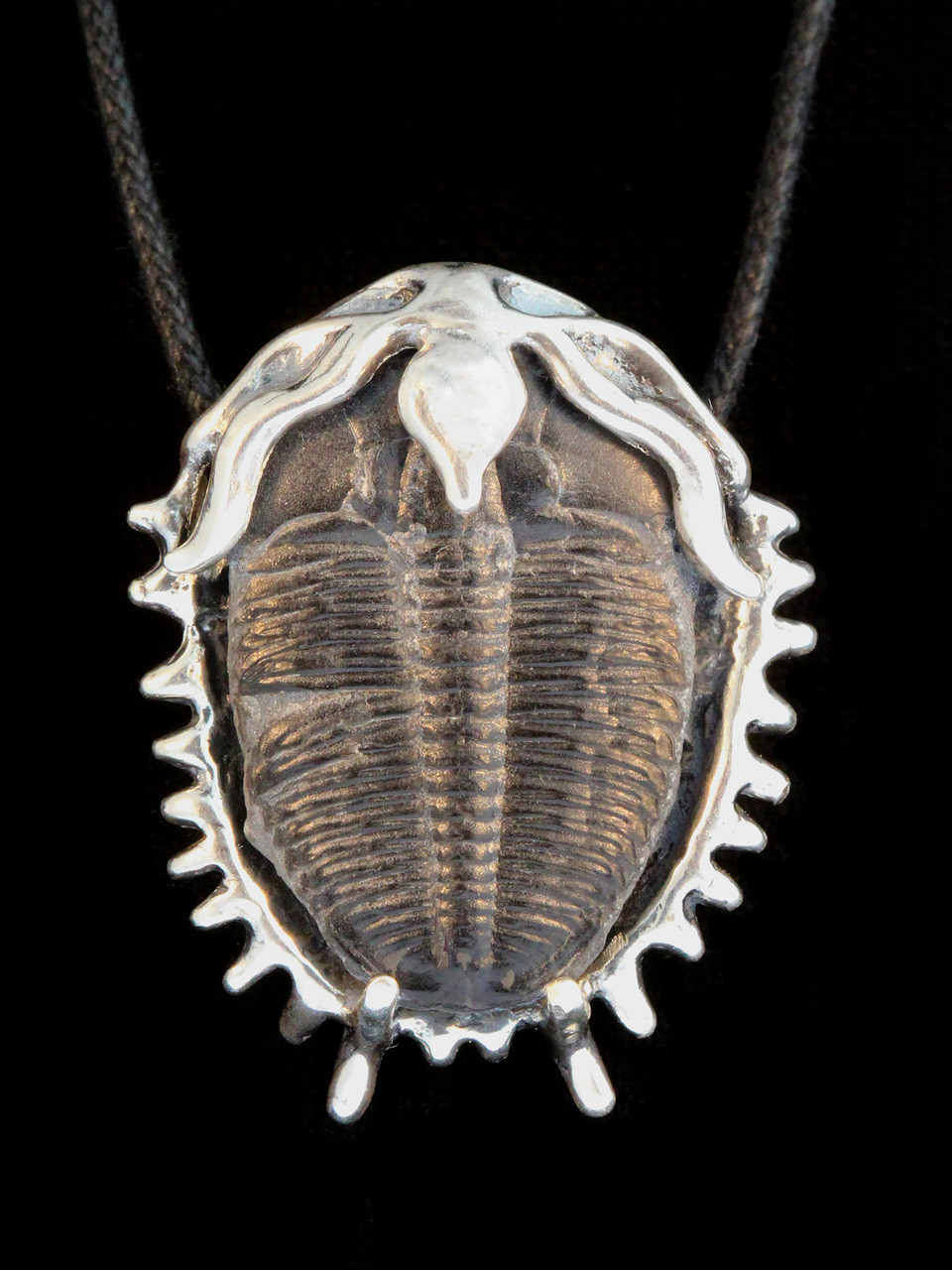 Trilobite Fossil Pendant - Silver - Marty Magic Store