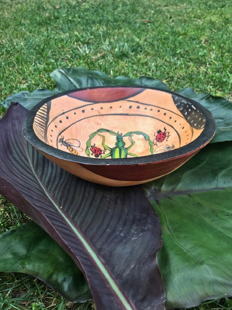 Zimbabwe Insect Bowl #1 - FREE DOMESTIC SHIPPING - Marty Magic Store
