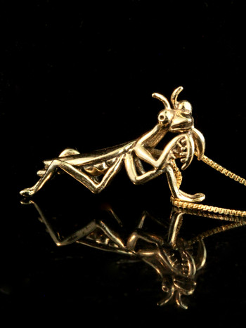 Praying Mantis Charm - 14k Gold