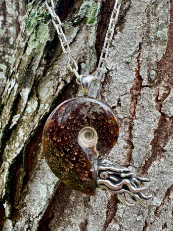 Fossilized Ammonite Nautilus Necklace - Silver