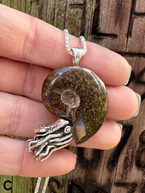 Fossilized Ammonite Nautilus Necklace