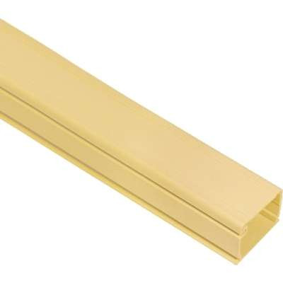 ICC ICRWR12SIV - Raceway 1 1/4 inch. W x 3/4 inch. H x 6FT. L120FT. BX IV