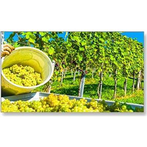 NEC Display SolutionsX464UNV-3 - NEC 46" LCD Ultra Narrow Bezel Public Display Monitor 1920X1080 FHD LED